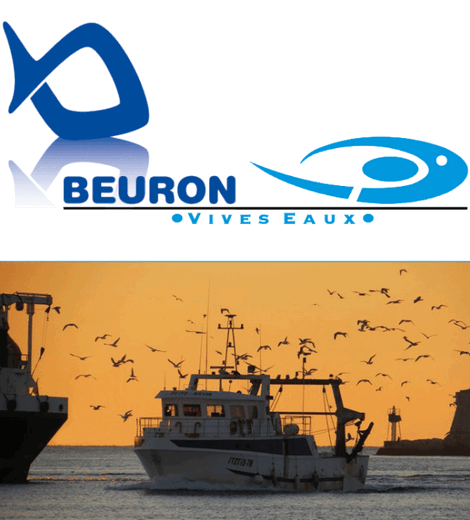 Beuron - Vivo Group