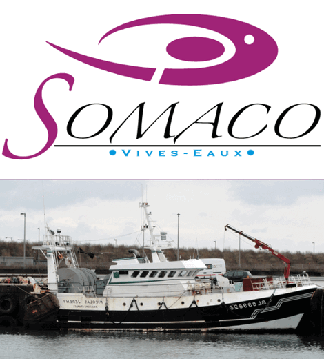 SOMACO - Vivo Group