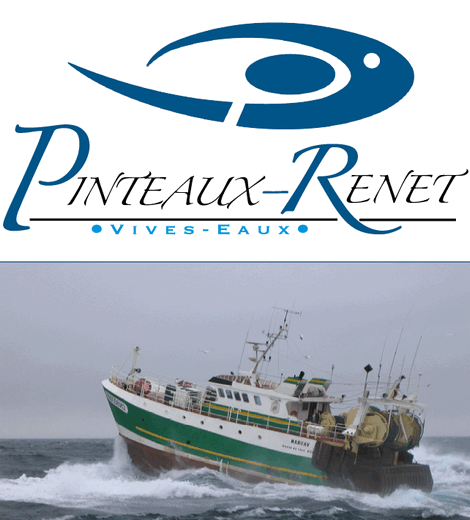 Pinteaux Renet - Vivo Group