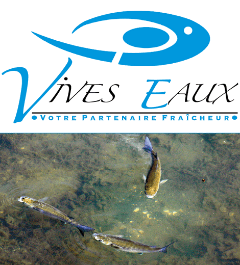 Vives Eaux Nantes - Vivo Group