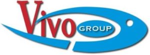 Logo Vivo Group