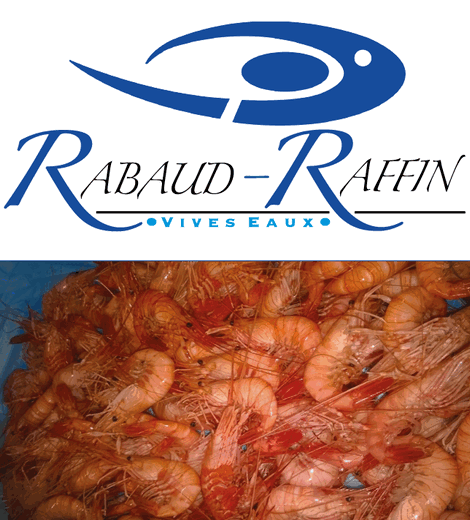 Rabaud Raffin - Vivo Group