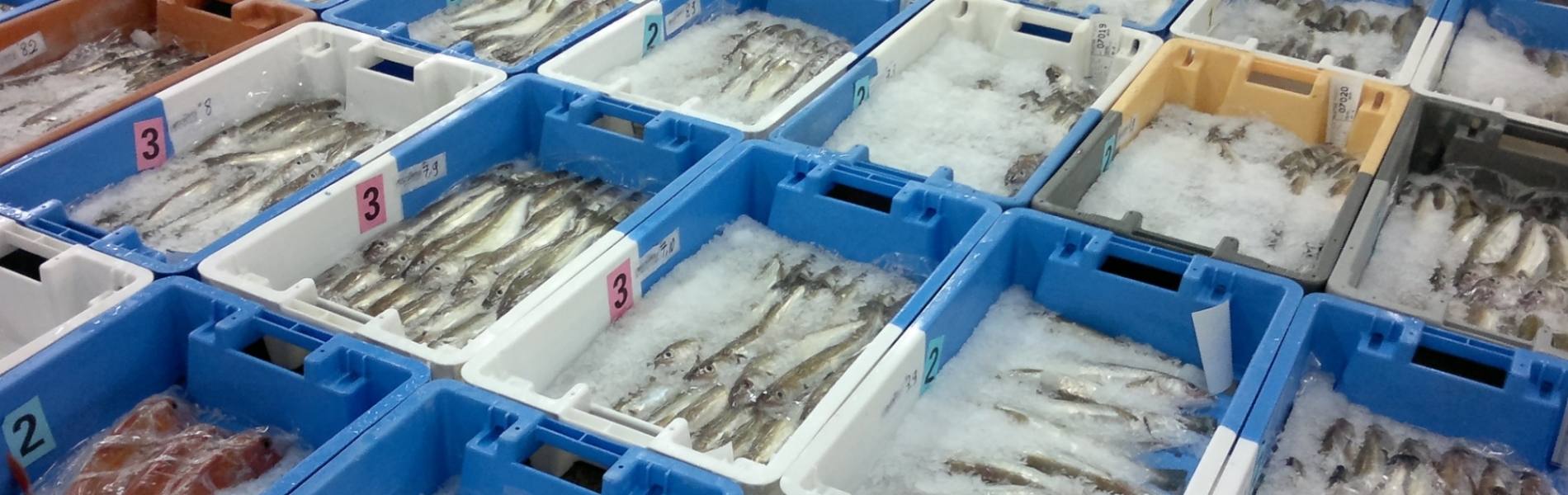 Vivo Group - Vives Eaux - We select the best fresh and frozen seafood for you.